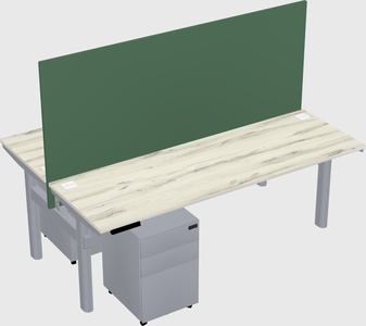 Shared electric desk