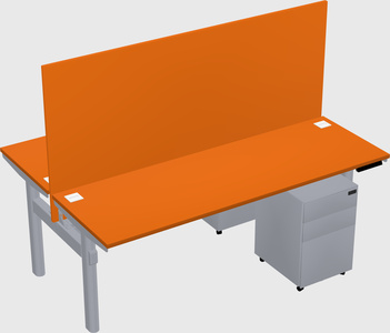 Shared electric desk