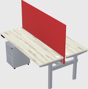 Shared electric desk