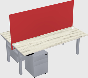 Shared electric desk