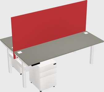 Shared electric desk