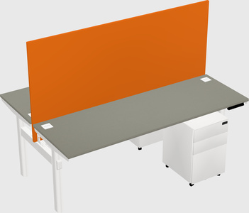 Shared electric desk