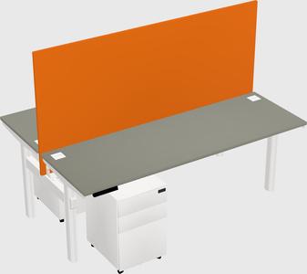 Shared electric desk