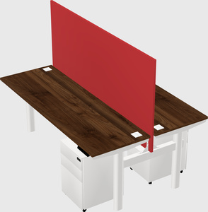Shared electric desk