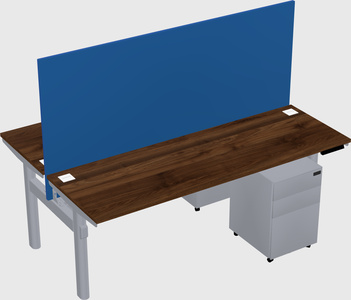 Shared electric desk