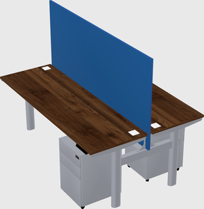 Shared electric desk