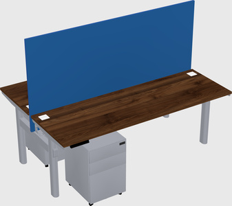 Shared electric desk