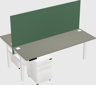 Shared electric desk