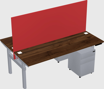 Shared electric desk