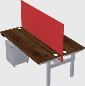 Shared electric desk