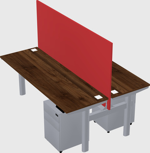 Shared electric desk