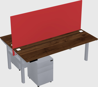 Shared electric desk