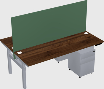 Shared electric desk