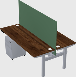Shared electric desk