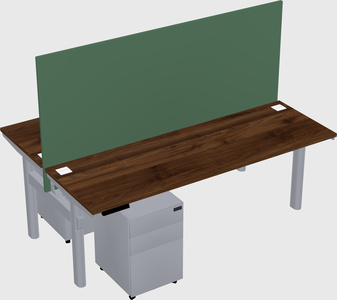 Shared electric desk
