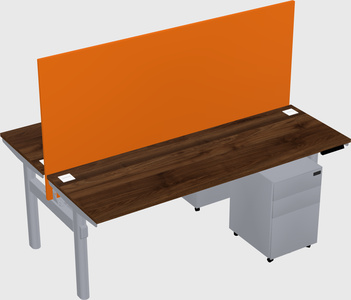 Shared electric desk