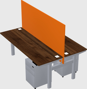 Shared electric desk