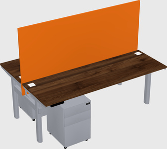 Shared electric desk