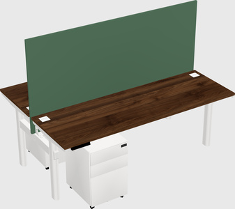 Shared electric desk
