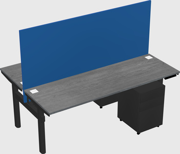 Shared electric desk