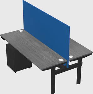 Shared electric desk