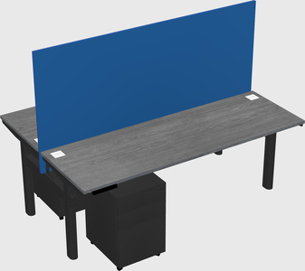 Shared electric desk
