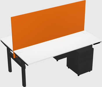 Shared electric desk