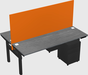 Shared electric desk