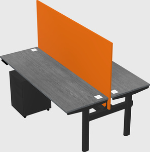 Shared electric desk
