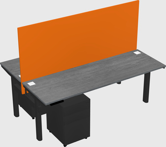 Shared electric desk