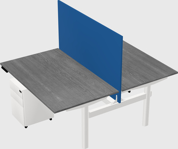 Shared electric desk