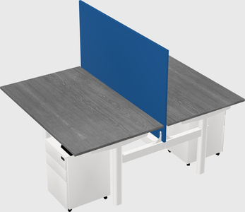 Shared electric desk
