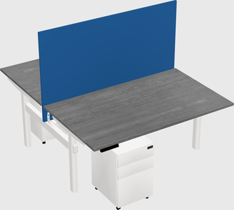 Shared electric desk