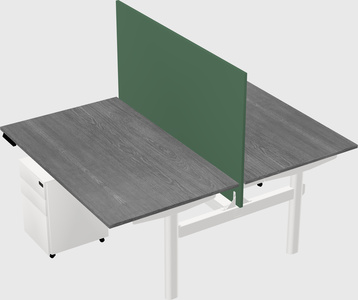 Shared electric desk