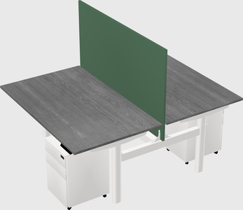 Shared electric desk