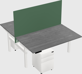Shared electric desk