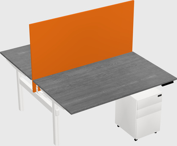 Shared electric desk