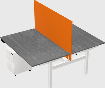 Shared electric desk