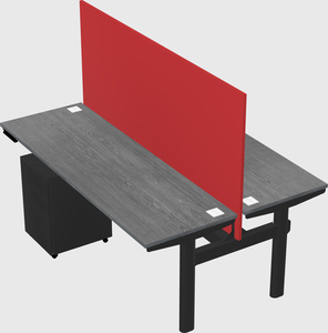 Shared electric desk