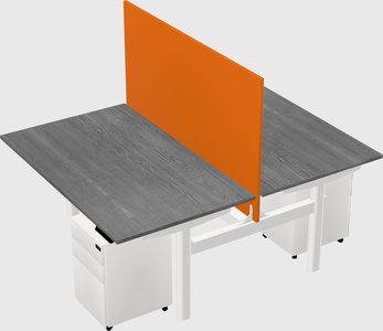 Shared electric desk