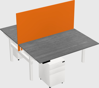 Shared electric desk