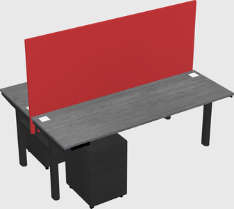 Shared electric desk