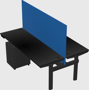 Shared electric desk