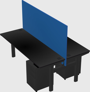 Shared electric desk