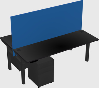 Shared electric desk