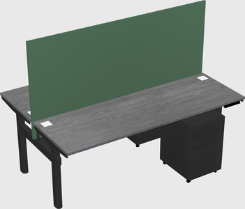Shared electric desk