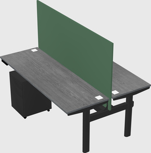 Shared electric desk