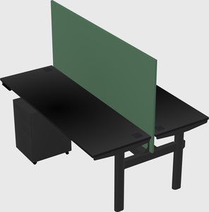 Shared electric desk