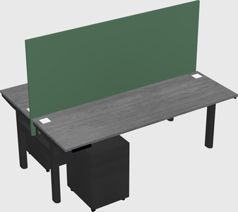 Shared electric desk