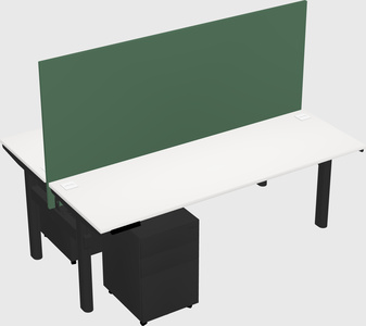 Shared electric desk
